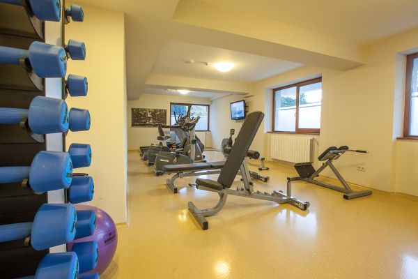 Hohe Rinne Paltinis Hotel & Spa (Păltiniş)